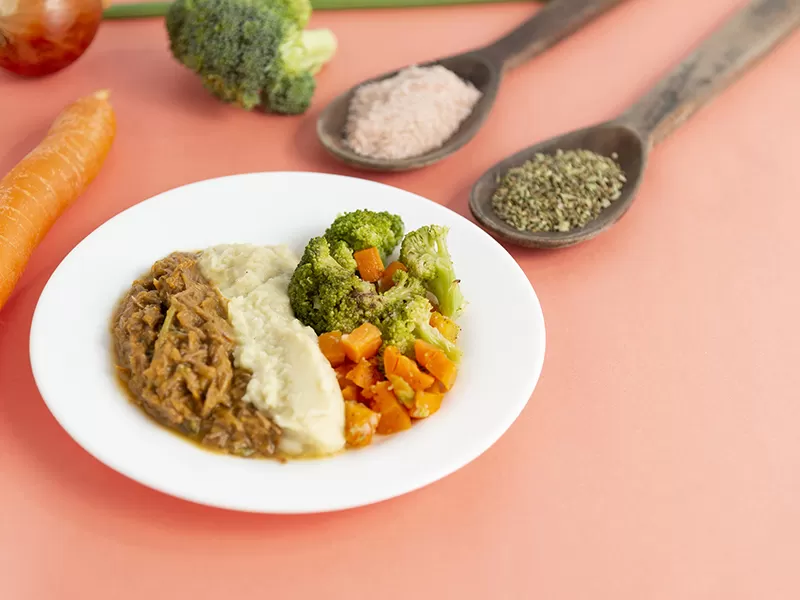 Carne Desfiada com Pure de Batata